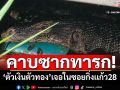 สลด! พบตัวเงินตัวทองใหญ่มาก คาบ\'ซากเด็ก\'ในซอยกิ่งเเก้ว28