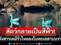 ชาวบราซิลช็อก! สัตว์กลายป็นสีฟ้า หลังพบสารเคมีรั่วไหลลงในทะเลสาบ