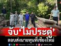 แม่ฮ่องสอนจับ\'ไม้ประดู่\'เมืองปาย ลอบส่งนายทุนที่เชียงใหม่