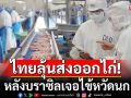ไทยหวัง! ลุ้นส่งออกไก่หลังบราซิลเจอไข้หวัดนก กรมปศุสัตว์ย้ำระบบป้องกันโรคแน่นหนา