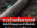 ชาวบ้านเชื่ออาถรรพ์! หนุ่มตัดต้นมะเดื่อไม่จุดธูปบอกกล่าวเจ้าที่ล้มทับดับ
