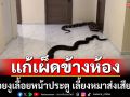 แก้เผ็ดข้างห้อง! ปล่อยงูเลื้อยหน้าประตู เลี้ยงหมาส่งเสียงดัง (คลิป)