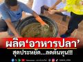 ผลิต\'อาหารปลา\' สุดประหยัด...ลดต้นทุน!!!