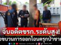 รวบคาบ้าน! อดีตข้าราชการระดับสูง เอี่ยวขบวนการออกโฉนดรุกป่าชายเลน