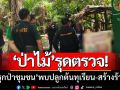 ‘จนท.ป่าไม้’รุดตรวจ! ‘บุกรุกป่าชุมชน’ พบปลูกต้นทุเรียน-สร้างร้านค้า