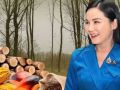 \'นฤมล\'แจ้งข่าวดี ไทยถูกจัดให้อยู่ในกลุ่ม \'Low Risk\' ตามกฎ EUDR เอื้อส่งออกสินค้าเกษตรไปยุโรปง่ายขึ้น