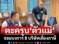‘ปอศ.’ตะครุบ‘ตัวแม่’เบื้องหลังบงการ 8 บริษัท หลีกเลี่ยงภาษี รัฐเสียหาย 800 ล้าน