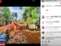 (คลิป) \'หนุ่ย อำพล\'ซัดเดือด! \'เขมร\'กลบให้เหมือนเดิมก่อนไอ้หนู จะได้อยู่ร่วมกันแบบสงบ