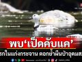 สุดยินดี! พบ\'เป็ดคับแค\'ครั้งแรกในแก่งกระจาน ตอกย้ำผืนป่ามรดกโลกอุดมสมบูรณ์