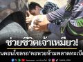 ภารกิจช่วยเจ้าเหมียว! ‘ติดในคอนโซลรถ’ออกมาได้ปลอดภัย-คอหวยห้ามพลาด