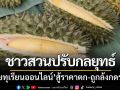 ชาวสวนคลองลอย! ปรับกลยุทธ์‘ขายทุเรียนออนไลน์’สู้ราคาตกต่ำ-ถูกล้งกดราคา