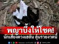 เลขเด็ดพญาบึ้งมาแล้ว! นักเสี่ยงโชคแห่ขอเลข ลุ้นรวยงวดนี้