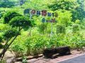 กทม. เดินหน้าเพิ่มสวน 15 นาที ตามเป้า ลุยตรวจ 9 สวน บางซื่อตามเกณฑ์