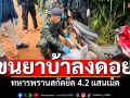 ซิ่งจยย.ลงดอยแม่ฟ้าหลวง ขนยาบ้าคันละกระสอบ ทหารพรานสกัดยึด4.2แสนเม็ด