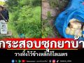 กระสอบปุ๋ยซุกยาบ้า! วางทิ้งไว้ข้างหลักกิโลฯ ในพื้นที่ อ.แจ้ห่ม จ.ลำปาง