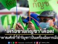 ‘เครือข่ายกัญชา’เดือด! 7 ก.ค.บุกสธ.ฟาด‘สมศักดิ์’ใช้‘กัญชา’เป็นเครื่องมือการเมือง