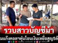 จับสาวบัญชีม้าร่วมแก๊งคอลฯตุ๋นเหยื่อสูญ5ล้าน