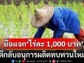 นบข.ยื้อแจกเงิน\'ไร่ละ 1,000 บาท\' ตีกลับอนุการผลิตทบทวนใหม่