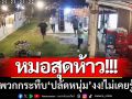 หมอสุดห้าว! ‘ยกพวกรุมกระทืบ’ ปลัดหนุ่มหนองคายบาดเจ็บ-งง!ไม่เคยรู้จัก