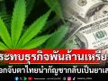 อวสานสายเขียว? สื่อนอกจับตาไทยนำกัญชากลับเป็นยาเสพติด กระทุบธุรกิจกว่าพันล้านเหรียญ