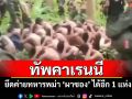 ทัพคาเรนนียึดค่ายทหารพม่า\'ผาซอง\'เบ็ดเสร็จได้อีก 1 แห่ง! เจ็บกว่า 90 รายทยอยเข้าไทย