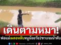 พ่อแม่เผลอหลับ หนูน้อยวัย2ขวบจมน้ำดับ เดินตามสุนัขไปบ่อน้ำหลังบ้าน