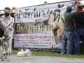 ‘เลขา TSPCA’ชี้ทำบุญต้องไม่ทารุณสัตว์ ทิ้งสัตว์เป็นต้นทางแห่งการทารุณ