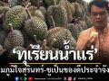 \'ทุเรียนน้ำแร่\' หนึ่งความภูมิใจชาวสุรินทร์-ผวจ.ชูเป็นของดีประจำจังหวัด