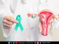 รักษามะเร็งปากมดลูกด้วย Oncothermia นวัตกรรมคลื่นความร้อน เพื่อทำลายเซลล์มะเร็ง