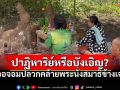ฮือฮา! อสม.เจอจอมปลวกคล้ายพระนั่งสมาธิข้างเจดีย์ ชาวบ้านแห่ขอโชค