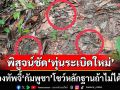 ชัดแล้ว! ผลตรวจพิสูจน์80%เป็น‘ทุ่นระเบิดใหม่’ จี้‘กัมพูชา’โชว์หลักฐานถ้าไม่ได้ทำ