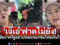 \'เจ๊เอ๋\'ฟาดไม่ยั้ง! ซัดภาครัฐอย่าปล่อยเขมรข่มไทย หลังนทท.ป่วนชายแดนเดือด (คลิป)