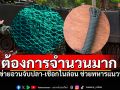 ต้องการมาก! ร่วมบริจาค\'ตาข่ายดักปลา-เชือกไนลอน\' ช่วยเหลือทหารแนวหน้า
