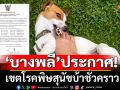 ปศุสัตว์บางพลี ประกาศเขตโรคพิษสุนัขบ้าชั่วคราว ห้ามเคลื่อนย้าย\'สุนัข-แมว\'โดยไม่ได้รับอนุญาต