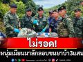 ไม่รอด! รวบหนุ่มเมียนมาลักลอบขนยาบ้า 3 แสนเม็ด
