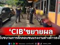 \'CIB\'ขยายผล จับขบวนการลักลอบขนแรงงานต่างด้าวลงใต้