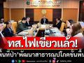 ทส.ไฟเขียว! ใช้พื้นที่ป่า ‘สร้างโรงพยาบาล-ถนน-อ่างเก็บน้ำ’ ตามนโยบายรัฐมนตรี