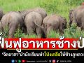 \'จิตอาสา\'นำนักเรียนภาคประชาชน ทำโป่งเกลือให้ช้างป่าภูหลวง