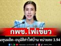กพช.ไฟเขียวแพ็กเกจพลังงานใหญ่ ลดต้นทุนผลิต–อนุมัติค่าไฟบ้าน หน่วยละ 3.94 บาท