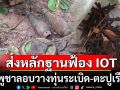 ทบ.ส่งหลักฐานฟ้อง IOT ทหารกัมพูชารุกล้ำอธิปไตย ลอบวางทุ่นระเบิด-ตะปูเรือใบในพื้นที่