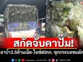จับเครื่อข่ายยารายใหญ่! ขนยาบ้า3.5ล้านเม็ด-ไอซ์60กก. ซุกรถกระบะขนผัก