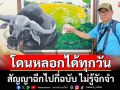 เอ๊ะใครกัน!‘สมชัย’ปล่อยกาพย์ยานี11 วัวควายช้างยังมีความจำ คนกลับแปลก สัญญาฉีกไปกี่ฉบับ ไม่รู้จักจำ