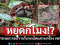 หยุดกี่โมง!? ทภ.2 เผยทหารเขมร ลอบวางกับระเบิดแสวงเครื่อง เขตไทยใกล้เนิน 350