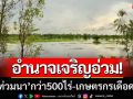 ฝนกระหน่ำอำนาจเจริญ! น้ำทะลักท่วมนาข้าวกว่า 500 ไร่ เกษตรกรเดือดร้อน