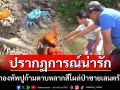 เผยภาพ \'กองทัพปูก้ามดาบหลากสี\' ออกอวดโฉมริมป่าชายเลนที่ตรัง