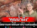 ‘คุณน้ำผึ้ง’ สัมผัสธรรมชาติ ตื่นตาที่บ้านต๋อมสู่แม่ปืม
