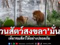 \'สวนสัตว์สงขลา\'มั่นใจ เที่ยวชมสัตว์ได้อย่างปลอดภัย ตามมาตรฐาน WAZA