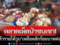 ตลาดเห็ดป่ากาฬสินธุ์ซบเซาหนัก! \'ผู้ค้ารายได้วูบ\' เหลือเพียงหลักร้อยบาทต่อวัน