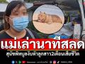 แม่เด็กเล่านาทีสลด! สุนัขพิทบูล งับหัวลูกสาว2เดือนเสียชีวิต