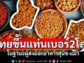 ไทยขึ้นเบอร์2ของโลก ในฐานะผู้ส่งออกอาหารสุนัข-แมว